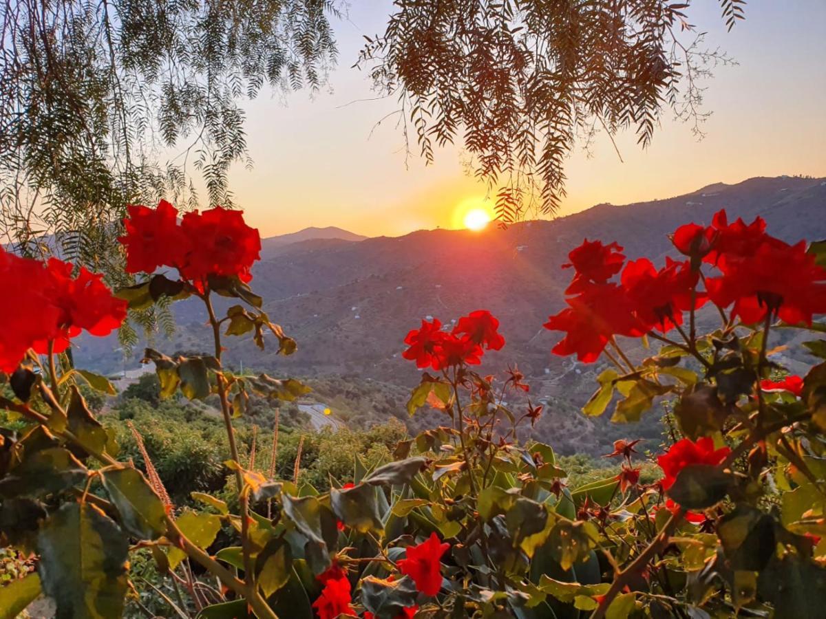 Cortijo La Rijana Villa Sayalonga Bagian luar foto